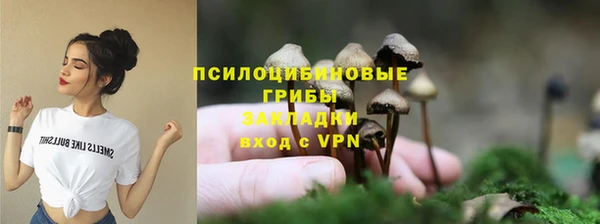тгк Вяземский