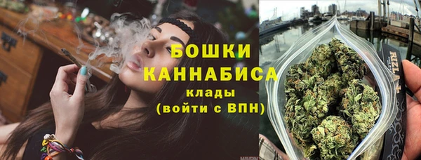 тгк Вяземский