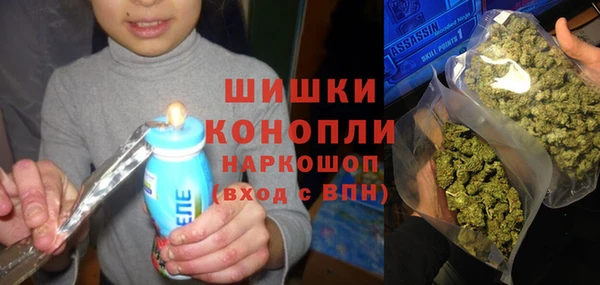 тгк Вяземский