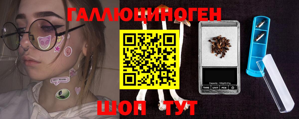 Псилоцибиновые грибы мицелий Губкинский